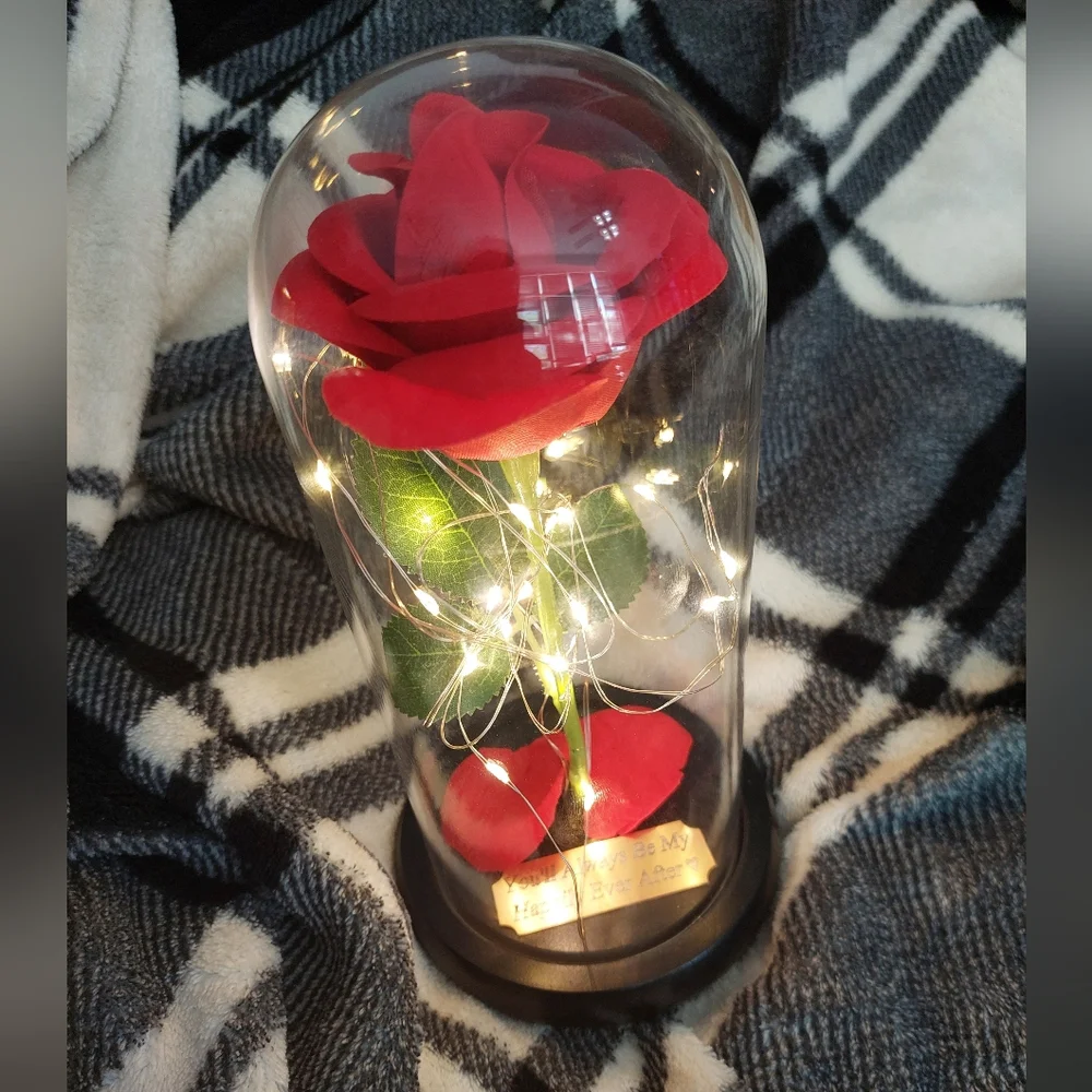 Enchanted Red‎ Rose in Glass Dome